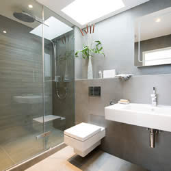 Bathroom Renovation and Shower Cabin