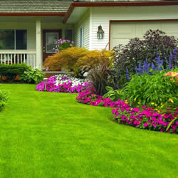 Garden Design and Landscape Solutions